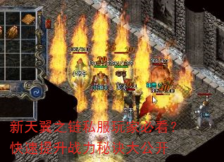 新天翼之链私服玩家必看?快速提升战力秘诀大公开 新天翼之链私服玩家必看?快速提升战力秘诀大公开