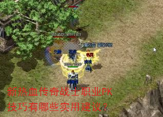新热血传奇战士职业PK技巧有哪些实用建议? 新热血传奇战士职业PK技巧有哪些实用建议?