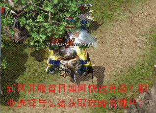 新区开服首日如何快速升级?职业选择与装备获取攻略有哪些? 新区开服首日如何快速升级?职业选择与装备获取攻略有哪些?