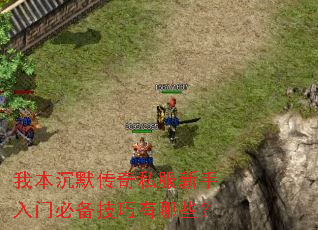 我本沉默传奇私服新手入门必备技巧有哪些? 我本沉默传奇私服新手入门必备技巧有哪些?