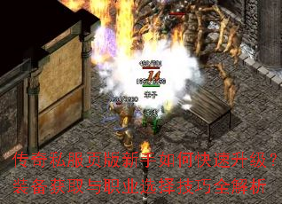 ����˽��ҳ��������ο���������װ����ȡ��ְҵѡ����ȫ����