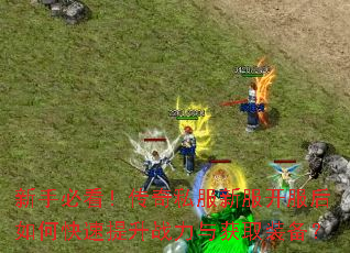 新手必看!传奇私服新服开服后如何快速提升战力与获取装备? 新手必看!传奇私服新服开服后如何快速提升战力与获取装备?