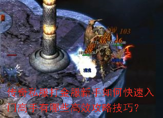 传奇私服打金服新手如何快速入门高手有哪些高效攻略技巧? 传奇私服打金服新手如何快速入门高手有哪些高效攻略技巧?
