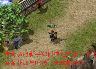 ����˽��������ο�������������װ����ȡ��PK����ȫ���Խ���