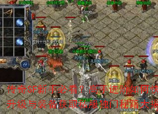 传奇SF新手必看?高手进阶如何快速升级与装备获取私服独门秘籍大揭秘 传奇SF新手必看?高手进阶如何快速升级与装备获取私服独门秘籍大揭秘