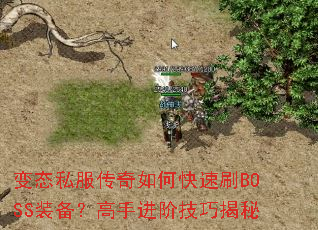 变态私服传奇如何快速刷BOSS装备?高手进阶技巧揭秘 变态私服传奇如何快速刷BOSS装备?高手进阶技巧揭秘