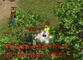传奇私服战士职业PK时如何搭配技能才能最大化输出? 传奇私服战士职业PK时如何搭配技能才能最大化输出?