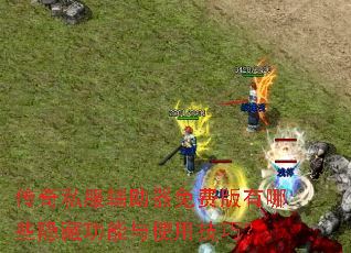 传奇私服辅助器免费版有哪些隐藏功能与使用技巧? 传奇私服辅助器免费版有哪些隐藏功能与使用技巧?