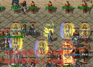传奇私服新手玩家如何快速提升角色战斗力等级? 传奇私服新手玩家如何快速提升角色战斗力等级?