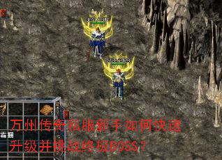 ���ݴ���˽��������ο�����������ս�ռ�BOSS��