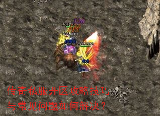 ����˽���������Լ����볣��������ν����