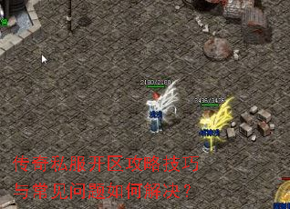 ����˽���������Լ����볣��������ν����