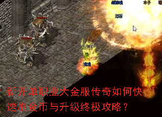 新开单职业大金服传奇如何快速刷金币与升级终极攻略? 新开单职业大金服传奇如何快速刷金币与升级终极攻略?