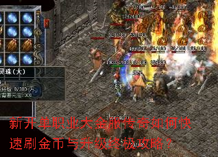 新开单职业大金服传奇如何快速刷金币与升级终极攻略? 新开单职业大金服传奇如何快速刷金币与升级终极攻略?