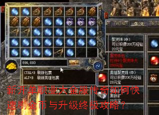 新开单职业大金服传奇如何快速刷金币与升级终极攻略? 新开单职业大金服传奇如何快速刷金币与升级终极攻略?