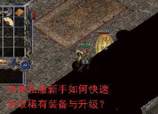 ����˽��������ο��ٻ�ȡϡ��װ����������