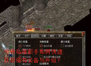 ����˽��������ο��ٻ�ȡϡ��װ����������