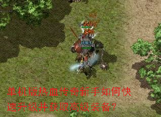 ��������Ѫ����������ο�����������ȡ�߼�װ����