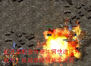 �¿���ְҵ������ο�������ս����Ȩ�����Խ���ȫ����