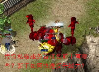 传奇私服服务器排名前十有哪些?新手如何快速提升战力? 传奇私服服务器排名前十有哪些?新手如何快速提升战力?