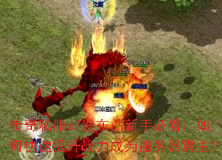 ����˽��sf����վ���ֱؿ�����ο�������ս����Ϊ������������