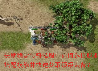 �����ȶ�����˽�������ѡ��ְҵ���似�ܲ����ٻ�ȡ����װ����