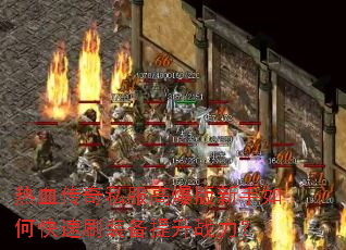 ��Ѫ����˽���߱���������ο���ˢװ������ս����