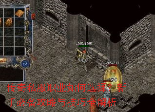 传奇私服职业如何选择?新手必备攻略与技巧全解析 传奇私服职业如何选择?新手必备攻略与技巧全解析