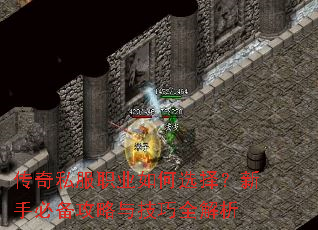 传奇私服职业如何选择?新手必备攻略与技巧全解析 传奇私服职业如何选择?新手必备攻略与技巧全解析
