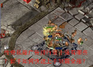 ����˽���������ǰʮǿ����Щ��������ο��������ư�ȫ����