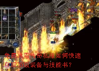 ��ѱ�ѩ����˽����ο��ٻ�ȡ����װ���뼼���飿