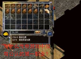 Ϊʲô������Ϸ��û�й��ϵĵ�һְҵ��