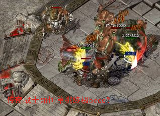 ����սʿ��ε����ռ�boss��