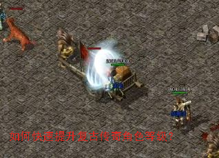 如何快速提升复古传奇角色等级? 如何快速提升复古传奇角色等级?