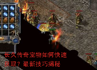 ���ô��������ο��ٻ�ȡ�����¼��ɽ���