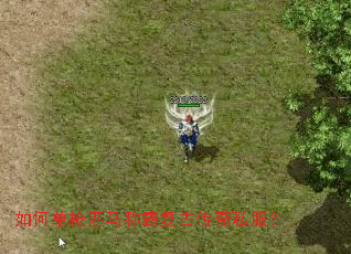 如何单枪匹马称霸复古传奇私服? 如何单枪匹马称霸复古传奇私服?