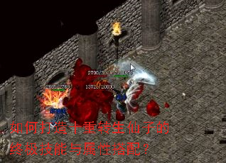 如何打造十重转生仙子的终极技能与属性搭配? 如何打造十重转生仙子的终极技能与属性搭配?