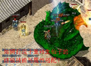 如何打造十重转生仙子的终极技能与属性搭配? 如何打造十重转生仙子的终极技能与属性搭配?