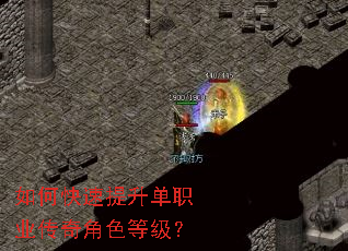 ��ο���������ְҵ�����ɫ�ȼ���