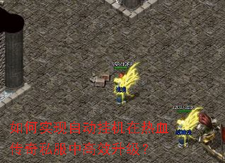 如何实现自动挂机在热血传奇私服中高效升级? 如何实现自动挂机在热血传奇私服中高效升级?