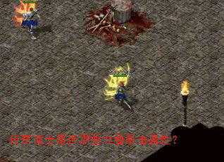 传奇道士是否需要堆叠暴击属性? 传奇道士是否需要堆叠暴击属性?
