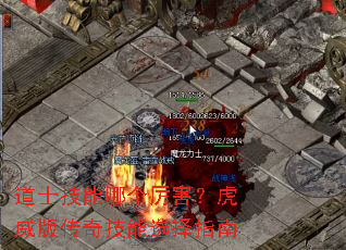 道士技能哪个厉害?虎威版传奇技能选择指南 道士技能哪个厉害?虎威版传奇技能选择指南