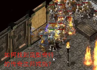 ����ҵ��������صĴ��淨ʦ��ָ��