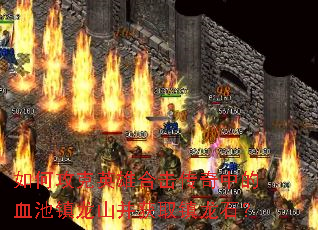 ��ι���Ӣ�ۺϻ������е�Ѫ������ɽ����ȡ����ʯ��