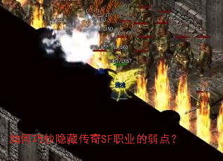 ����������ش���SFְҵ�����㣿