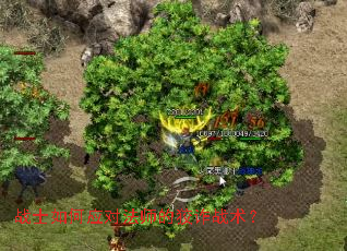 սʿ���Ӧ�Է�ʦ�Ľ�թս����