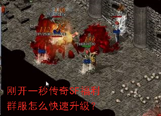 �տ�һ�봫��SF����Ⱥ����ô����������