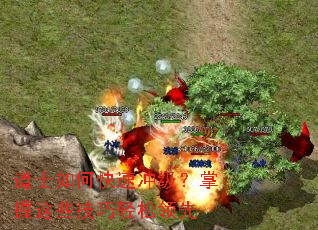 ��ʿ��ο��ٳ弶��������Щ������������