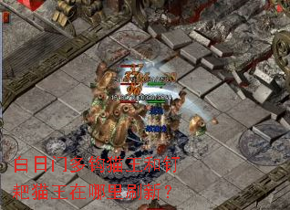 �����Ŷ๳è���Ͷ���è��������ˢ�£�