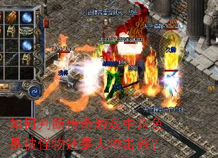 ����жϴ�����Ϸ�н�ɫ�Ǳ����ﻹ�������ɱ��